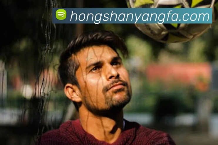 世界杯开户平台平台生态图