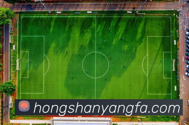 世界杯app官网发展历程